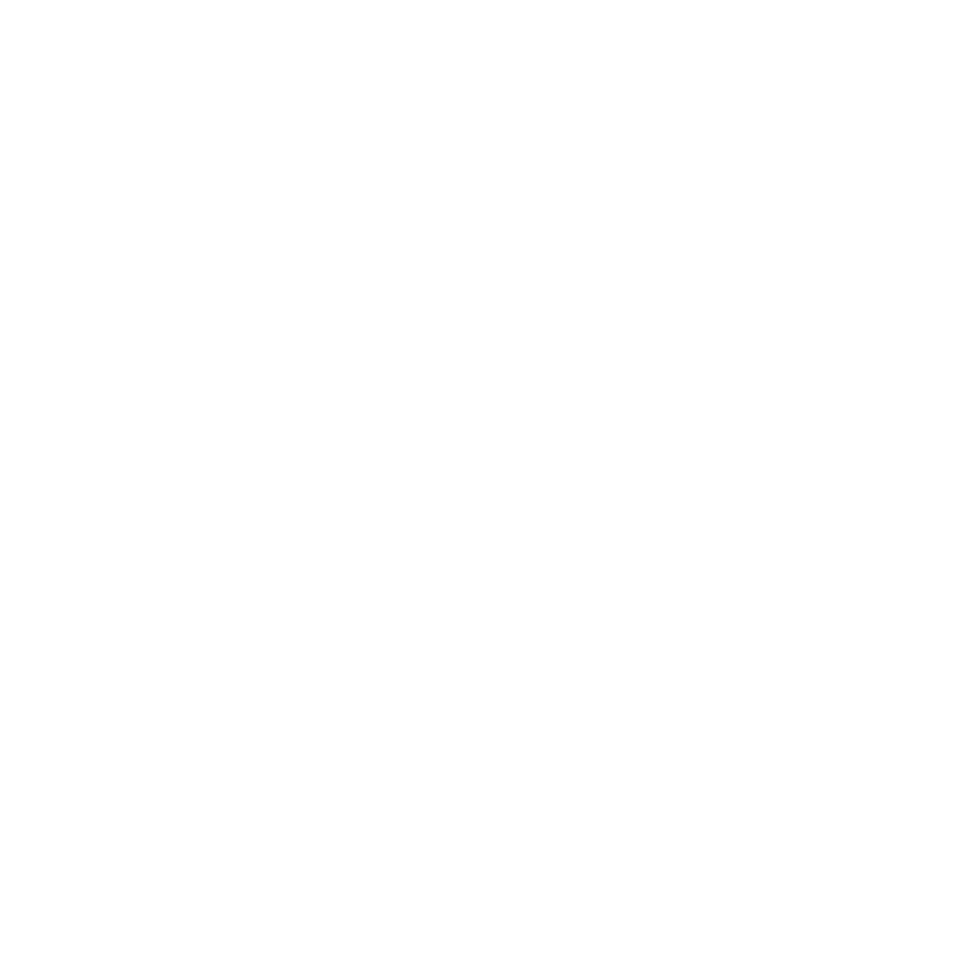 Logo PrimePix